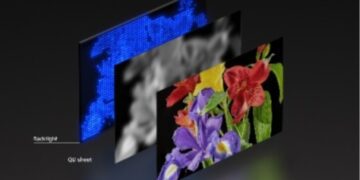 رونمایی سونی از نمایشگر نسل جدید با LEDهای مستقل RGB