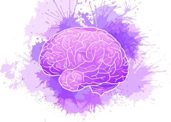 درمان آلزایمر با تقویت سلول‌های ایمنی مغز