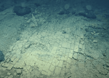 کشف جاده‌ای پوشیده از آجرهای زرد در اعماق اقیانوس آرام