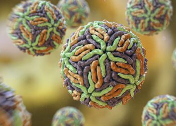 ابزار هوش مصنوعی گوگل مسئله‌ای ۱۰ ساله را در دو روز حل کرد