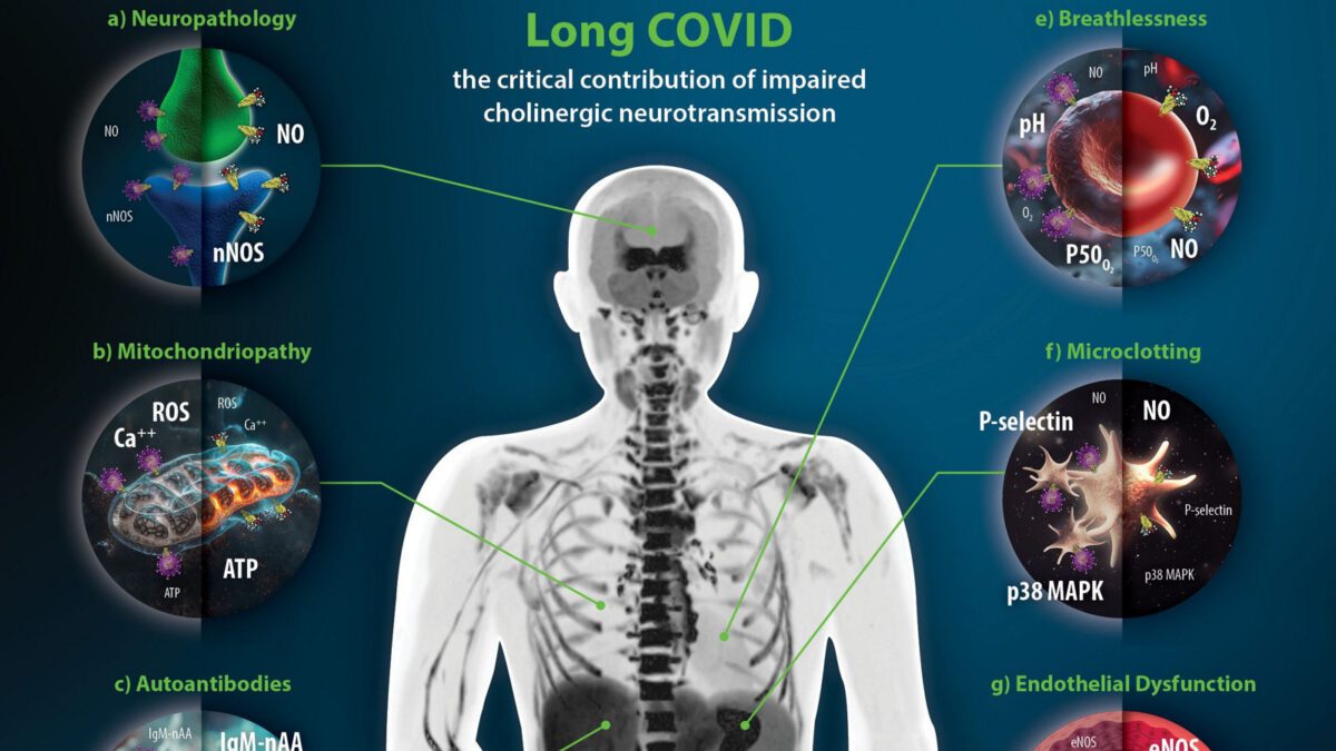 کووید بلندمدت، مشکلی پنهان اما مهم برای سلامت عمومی