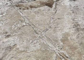 کشف وسایل نقلیه ابتدایی مهاجران اولیه آمریکا