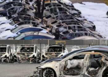 افزایش تنش‌ها پیرامون تسلا و ایلان ماسک در آلمان