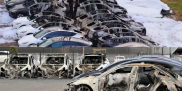 افزایش تنش‌ها پیرامون تسلا و ایلان ماسک در آلمان