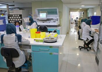 24 درصد مخترعین کشور را بانوان تشکیل می دهند