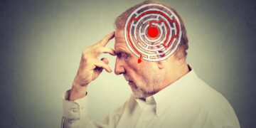 نقش روده در کاهش التهاب مغزی ناشی از سکته