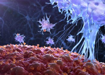 دانشمندان مرحله جدیدی از پاسخ ایمنی را کشف کردند