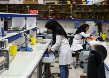 جدیدترین دستاوردهای علمی پژوهشگاه رویان معرفی شد