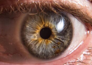 درمان نابینایی به کمک یک روش جدید