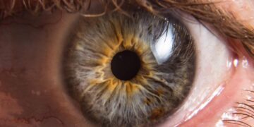 درمان نابینایی به کمک یک روش جدید