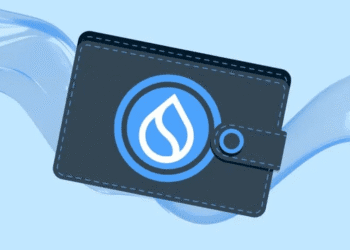 تحلیلگر معروف: سویی (SUI) آماده اصلاح است