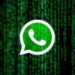 متا به کاربران ویندوز هشدار داد: آسیبپذیری جدید واتساپ باید بهروزرسانی شود