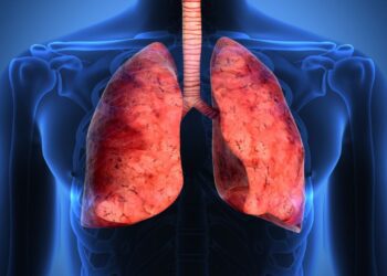 چاپ زیستی اندام‌های انسانی تا ده سال آینده ممکن می ‌شود