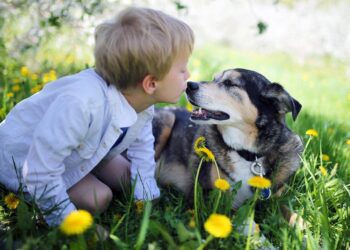 پیشرفت درمان سرطان استخوان در سگ ها به کودکان کمک می کند