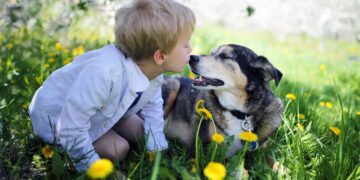 پیشرفت درمان سرطان استخوان در سگ‌ ها به کودکان کمک می‌ کند