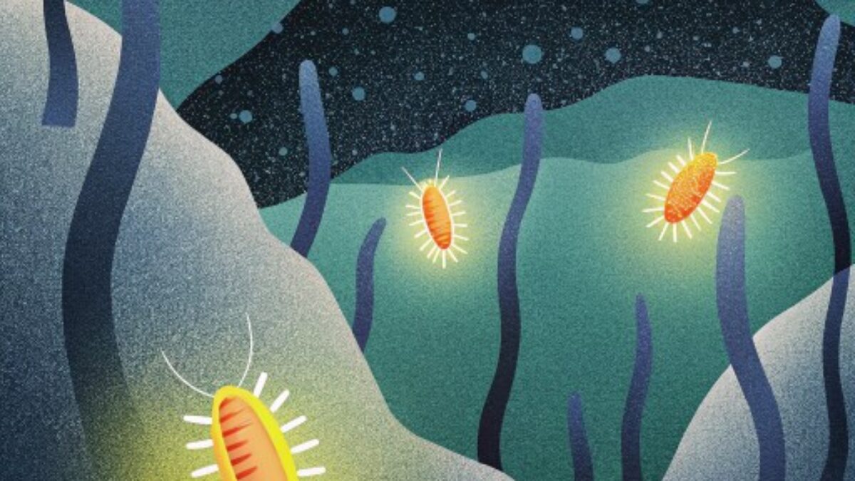 دانشمندان باکتریهایی کشف کردند که به جای اکسیژن، الکتریسیته تنفس میکنند