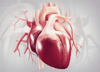 نسبت دور کمر به قد، معیاری مؤثر در پیش‌بینی نارسایی قلبی