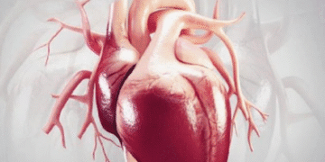 نسبت دور کمر به قد، معیاری مؤثر در پیش‌بینی نارسایی قلبی