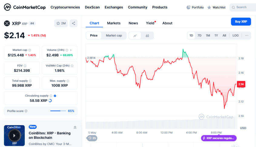 آیا قیمت ریپل میتواند به ۱۰۰ دلار برسد