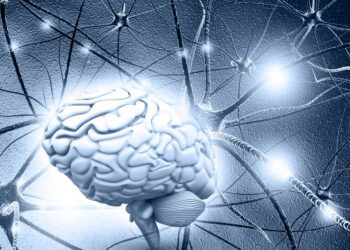 قندهای موجود در مغز کلید درمان آلزایمر و زوال عقل هستند