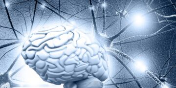 قندهای موجود در مغز کلید درمان آلزایمر و زوال عقل هستند