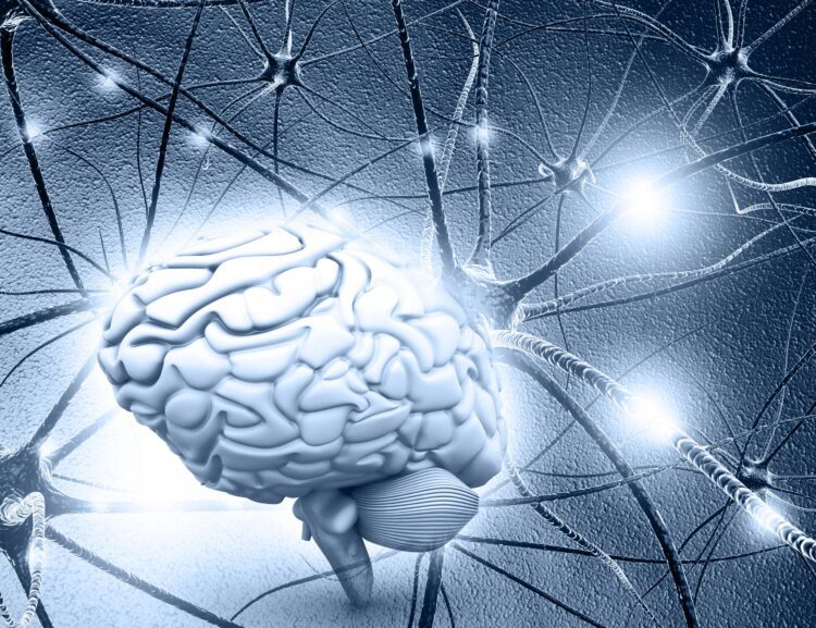 قندهای موجود در مغز کلید درمان آلزایمر و زوال عقل هستند