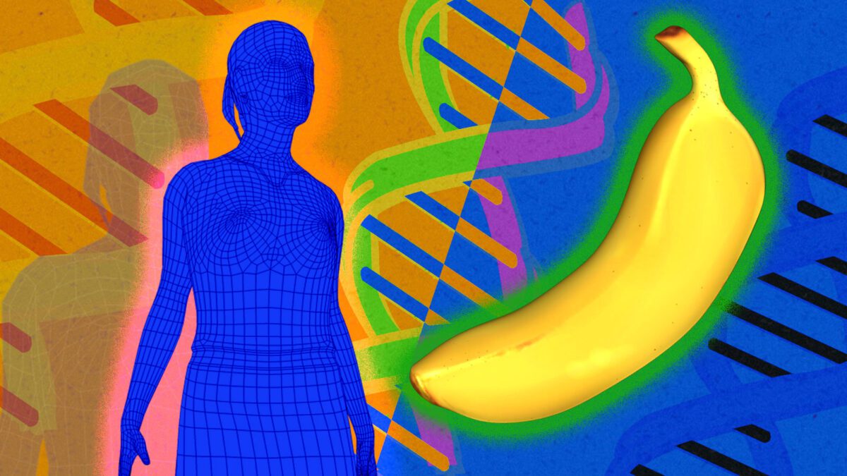 آیا واقعا ۶۰ درصد از DNA انسان با موز مشترک است؟