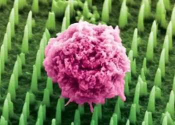 انقلاب در نمونه‌برداری بدون درد با پچ های نانوسوزنی جدید