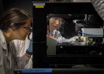 دانشمندان اثرات پیری قلب را کاهش دادند!