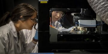 دانشمندان اثرات پیری قلب را کاهش دادند!