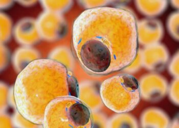 کشف پروتئین سرکوبگر چربی قهوه‌ ای برای درمان لاغری ناشی از سرطان