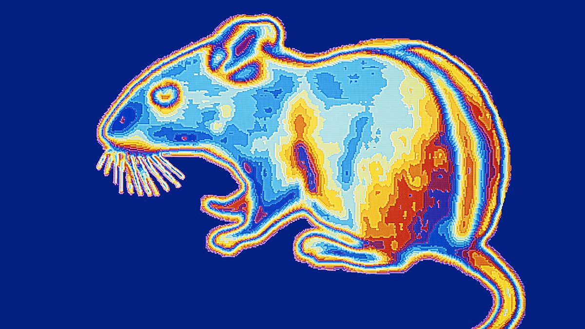 پیشرفت بزرگ دانشمندان کره ای که نابینایی را درمان می کند