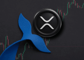 جهش ۷ برابری کاربران روزانه ریپل و رکوردشکنی نهنگهای این رمزارز