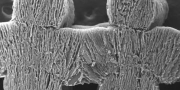 تبدیل آب شور به آب شیرین تنها با نور خورشید