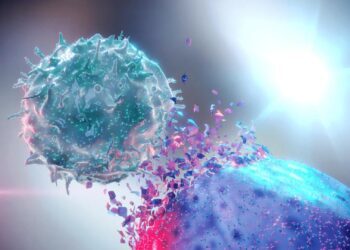 کشف نقش ضدسرطانی سلولهای ایمنی CD4 در درمان سرطان