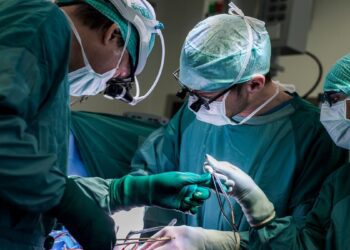 ابداع روشی جدید برای احیای قلب‌های اهدایی از کار افتاده