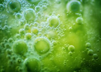 کشف منبع جدید انرژی در اعماق زمین؛ امیدی تازه برای وجود حیات در مریخ