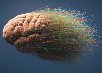 حافظه فضایی در مغز ثابت نمی ماند و با گذشت زمان جابه‌جا می ‌شود