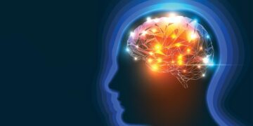 داروی جدید ژاپنی آسیب ناشی از سکته مغزی را از بین می برد