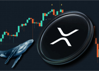 تحلیل روند جاری ریپل (XRP)؛ نهنگ‌ها در حال خرید، اما قیمت در حال افت