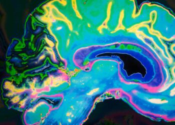 درک ساختار مغز انسان از طریق تحلیل الگوهای هماهنگ فعالیت ژن ها