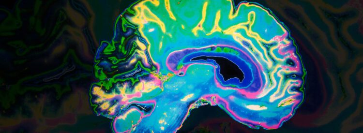 درک ساختار مغز انسان از طریق تحلیل الگوهای هماهنگ فعالیت ژن‌ ها