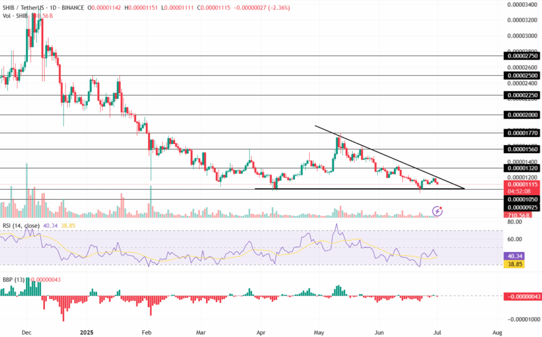نگاهی به آینده شیبا اینو