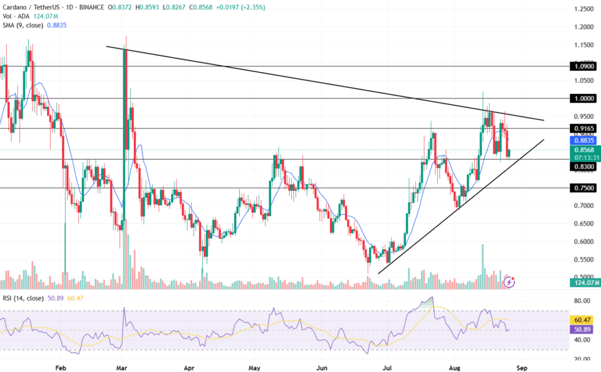 الگوی مثلث متقارن و مسیر احتمالی قیمت کاردانو