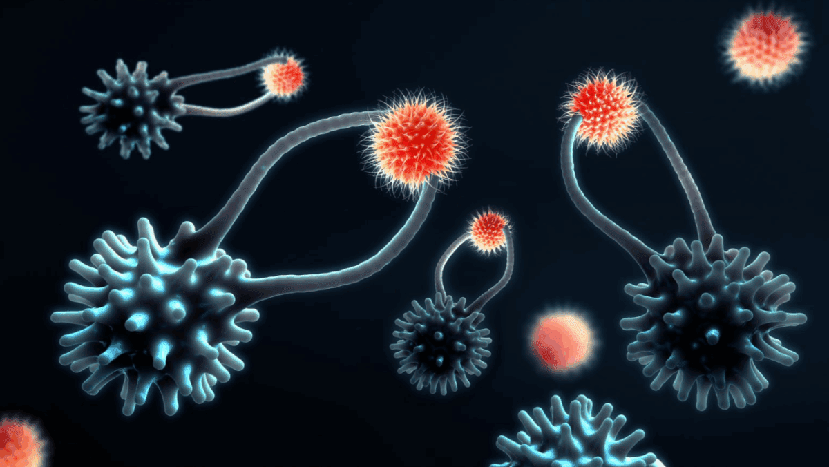 سلاح مخفی سرطان علیه سلول ‌های ایمنی شناسایی شد