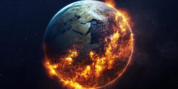 فروپاشی جنگل‌ها عامل گرمایش ۵ میلیون ساله زمین پس از انقراض بزرگ بود