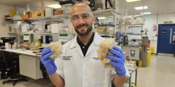 ترمیم مینای دندان و توقف پوسیدگی با خمیردندان پروتئینی ساخته‌ شده از مو