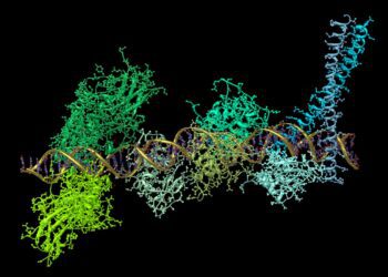 داروهای mRNA می توانند بدن را در برابر بسیاری از عفونت های ویروسی محافظت کنند