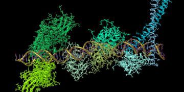 داروهای mRNA می‌ توانند بدن را در برابر بسیاری از عفونت‌ های ویروسی محافظت کنند