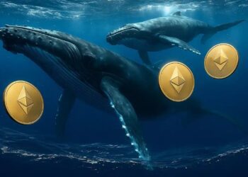 نهنگ‌های رمزارزی به‌دنبال شکار اتریوم هم‌زمان با عقب‌نشینی بیت‌کوین تا نزدیکی ۱۱۲,۷۰۰ دلار